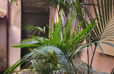 The Rabbit Hole - Foto 12