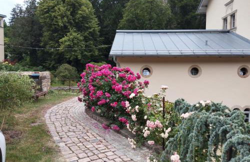 Sophienquelle Schweizermühle - Foto 9