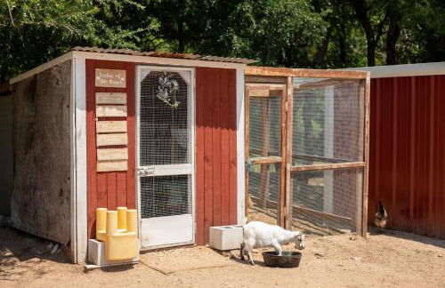 Stay on a 350-acre Cattle Ranch! Brazos River! Tubing! Petting zoo! - Foto 33