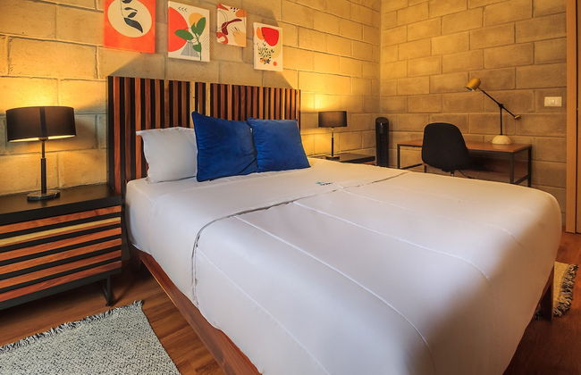 Tribu Centro Histórico - Foto 8