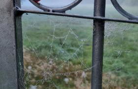 Ferienhaus Rehblick - direkt in der Natur, mit Lesezimmer und zwei Terrassen - Foto 46