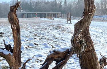 Ferienwohnung Stefanie - Foto 30