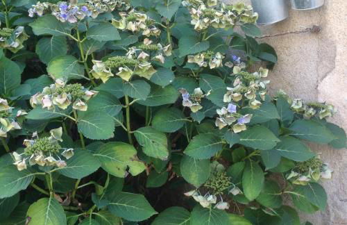 Meublé de tourisme "Les brosses tillots" - Foto 18