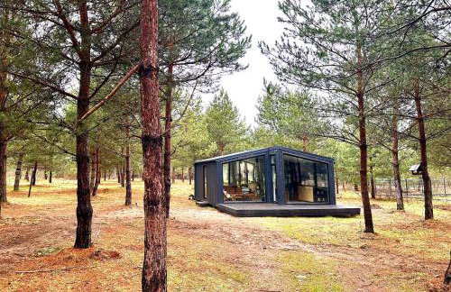 100 Drzew - Leśny Klimat Mazur - Foto 2