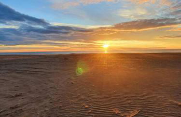T2 cosy à la plage, terrasse vue sur mer et parking privatif - Photo 23