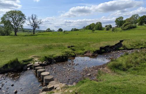 Brook Cottage Askrigg - Photo 48