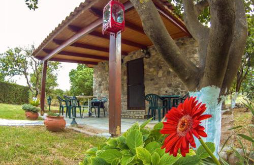 Patras stonehouse with large yard - Πέτρινο σπίτι με αυλή - Foto 9