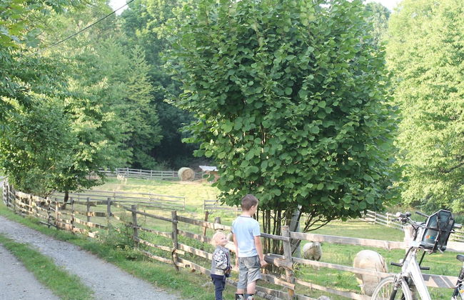 Detached Home With Fireplace Nearby Flemish Coast - Foto 20