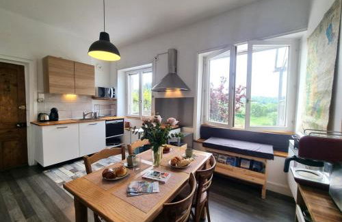 Charmant appartement avec terrasse lumineuse à St-Etienne - FR-1-496-287 - Foto 2