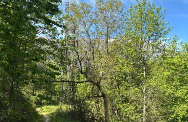 Il Giardino di Sant'Eufemia - Foto 61