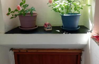 La Casa delle Meraviglie - Foto 33