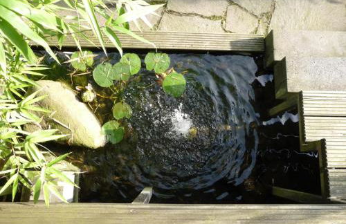 Kleine Oase - Foto 40