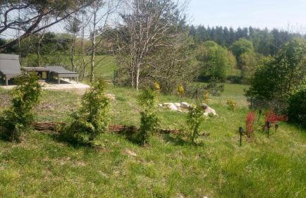 Zielenina Leśny Domek - Foto 32