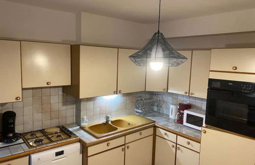 Grand appartement - Foto 14