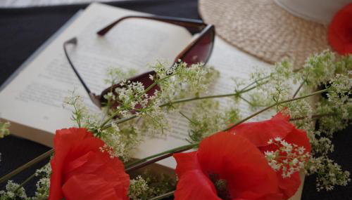 ApartDębki - Foto 3