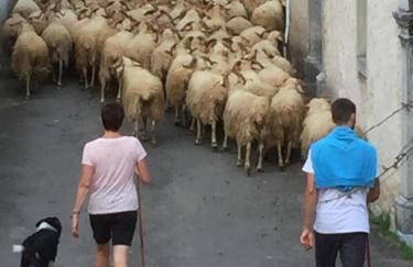 Le Monrepos avec bain nordique - Foto 7