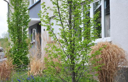 Ferienwohnung Noviomagus - Foto 15