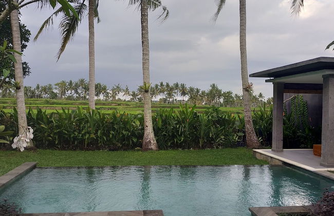 Anggira Villa Ubud - Photo 18