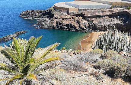 Casa Lorenzo - Apartamento en Playa de Las Américas - Foto 44