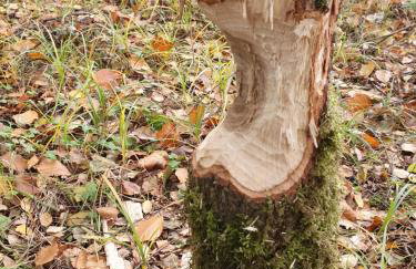 Zaciszne SPA - Foto 19