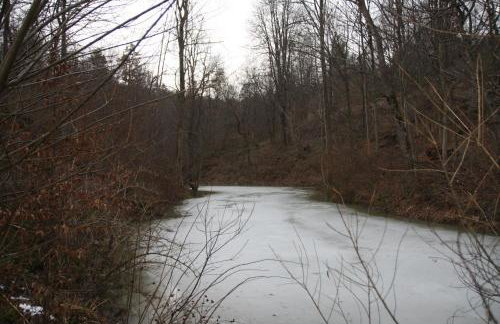 Ropuszy Dwór - Foto 49