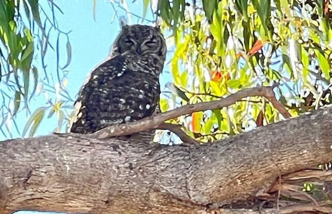 Beach Tower House Luxury Beachfront Villa - Photo 26