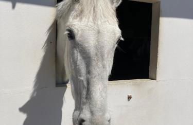 Vale of Glamorgan - Cottage - Sleeps 4 - Parking - Photo 25