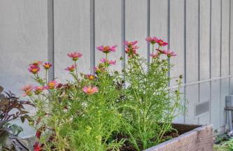 Modern Country Home Near Downtown & Bike Trail - Foto 28