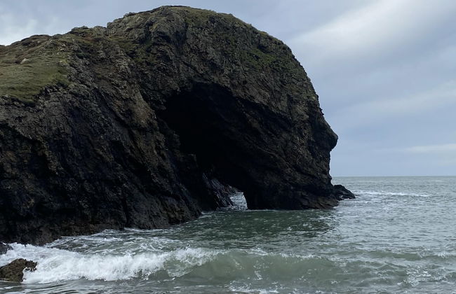 Swift Vogue Edition Caravan - Photo 8