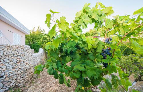 Lila's house - Photo 40