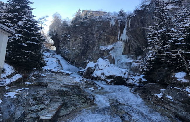 Schubert-Franz Top 12 - Foto 37