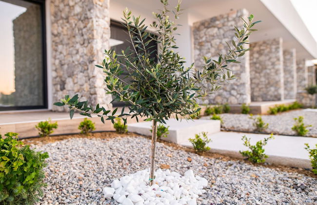 Pebble Garden Olive Branch-Magnolia - Foto 71