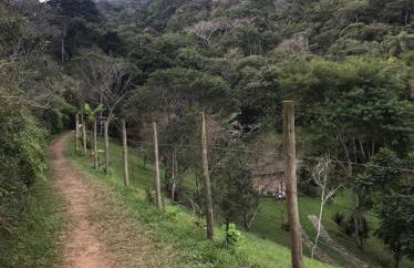 Morada Betel Box - Foto 22