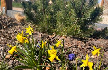 Makihyte dom na wyłączność z panoramą na morze i strefą SPA - Foto 7