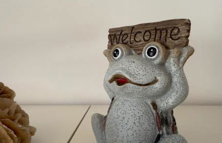 La Corte 1813 MXP Lago Maggiore Leonardo - Foto 29