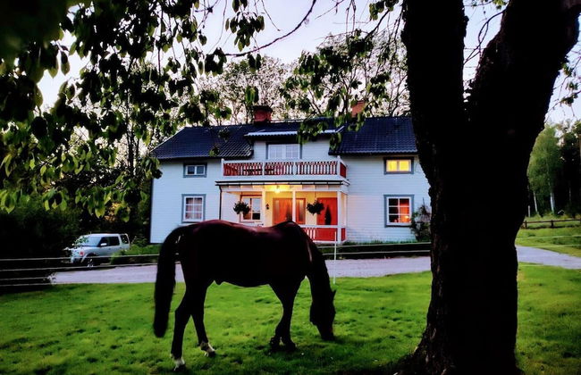 Charming 6 Bedroom House & Horse Farm - Sleeps 12 - Foto 1