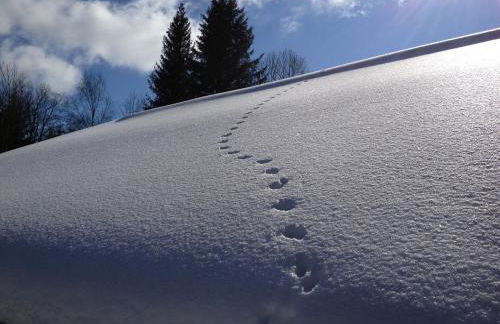 Le chalet de Nicolas - Your Nature Exclusive Retreat ! - Foto 58