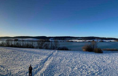 Chalet Charmant rénové au bord du Lac St Point - Foto 48
