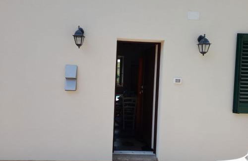 Fico d'india - Foto 20