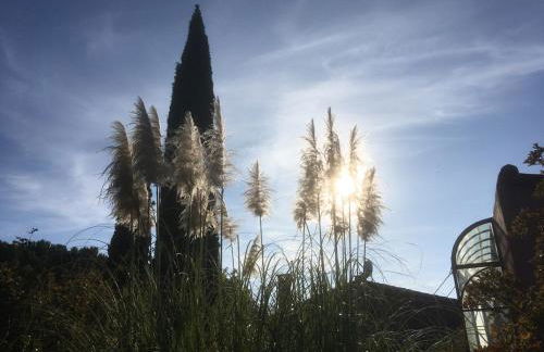 Ecolodge Au fil de l'eau, avec piscine intérieure et parc arboré - Foto 17