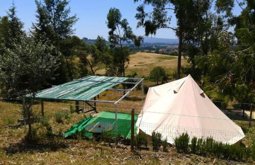 Herdade da Hera - Foto 40