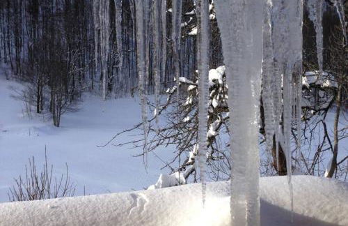 Haus Wiesengrund-Fahl, FeWo 6 - Foto 26