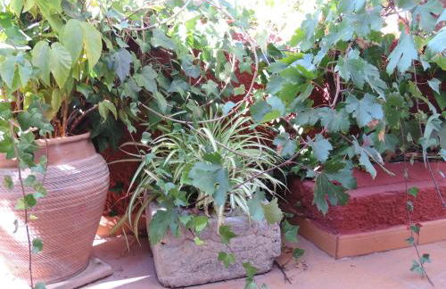 RURAL HOUSES SERAFIN Casa Rural Serafin THE BEST VIEWS - Foto 20