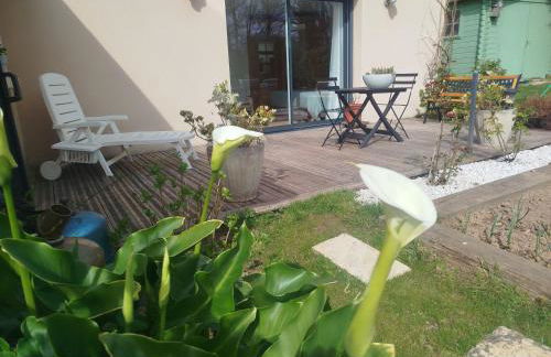 Les hortensias - Foto 3