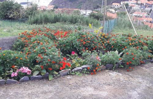 Panoramic Ocean View House - Foto 17