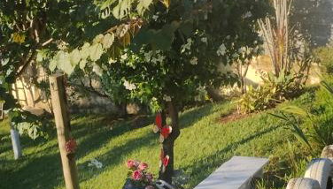 Sítio Bela Vista - Foto 4