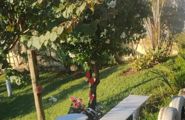 Sítio Bela Vista - Photo 4