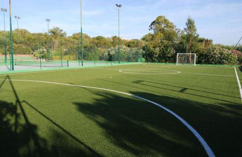 La tartaruga - Photo 20