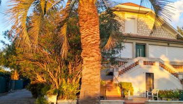 La Belle Époque du Sud - lumineux et authentique - Foto 2, Garden view