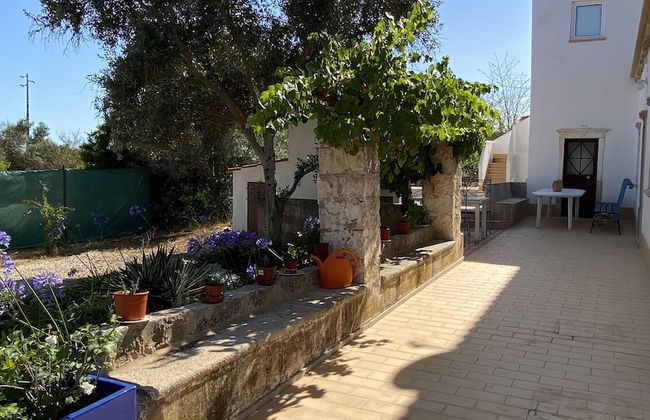 CIP V8 Gold - New!!! - Foto 47